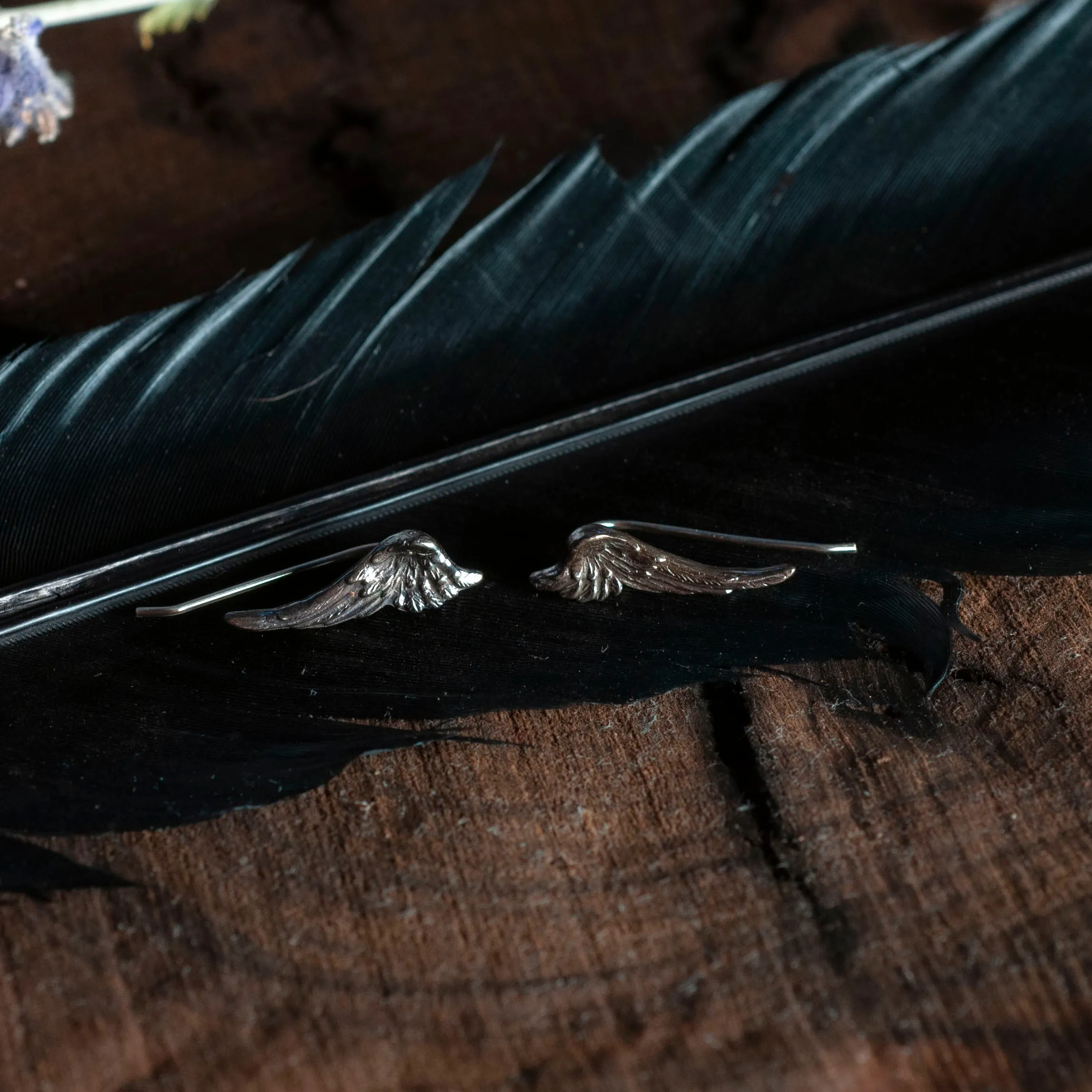 Angel Wings Ear Climbers