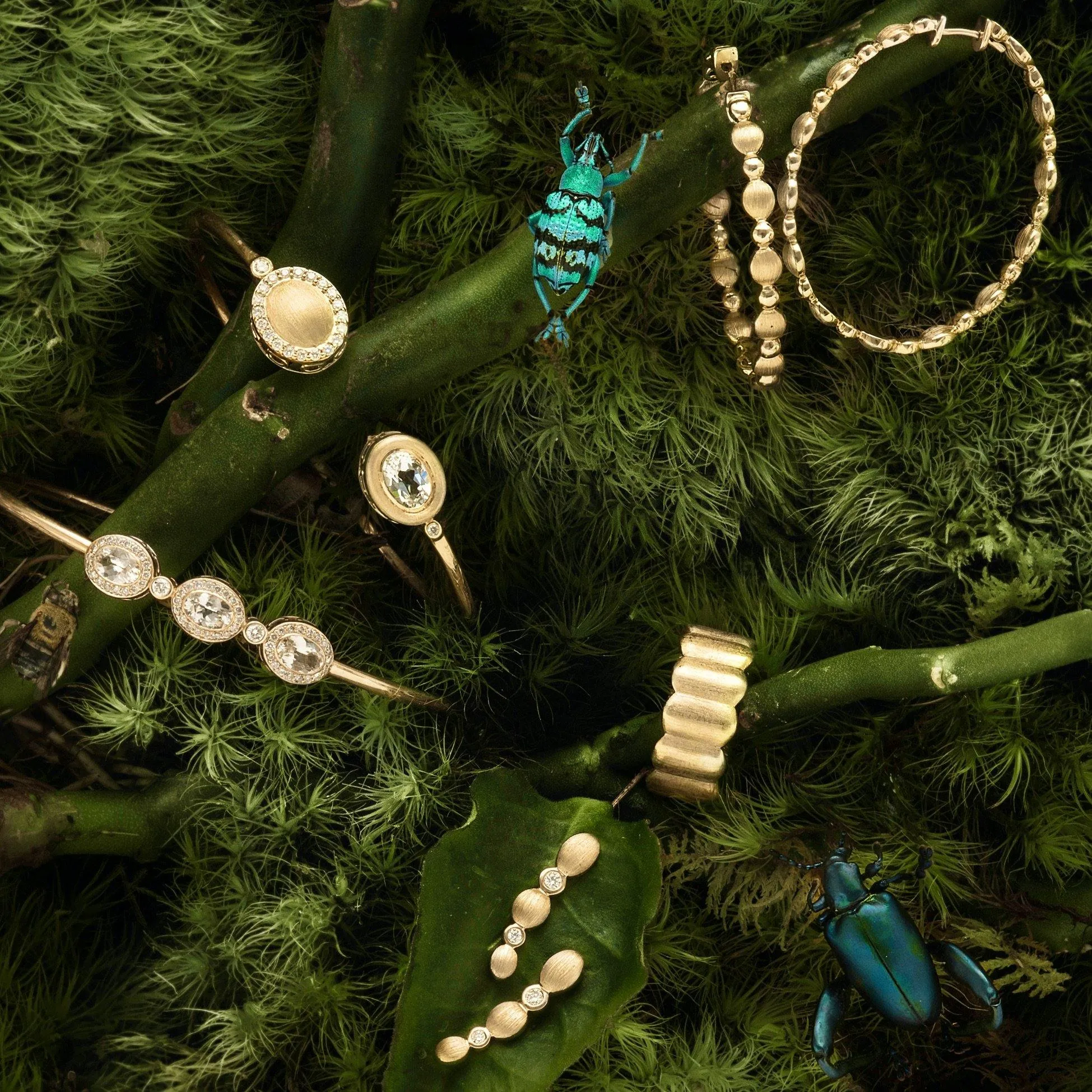 Climbers in Brushed Gold and Diamond