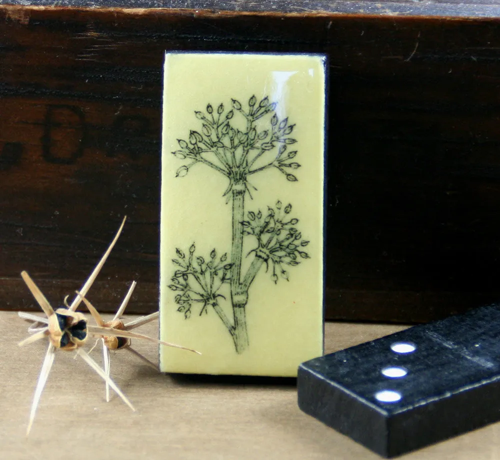 Cottage Garden Domino Brooch -  Parsley