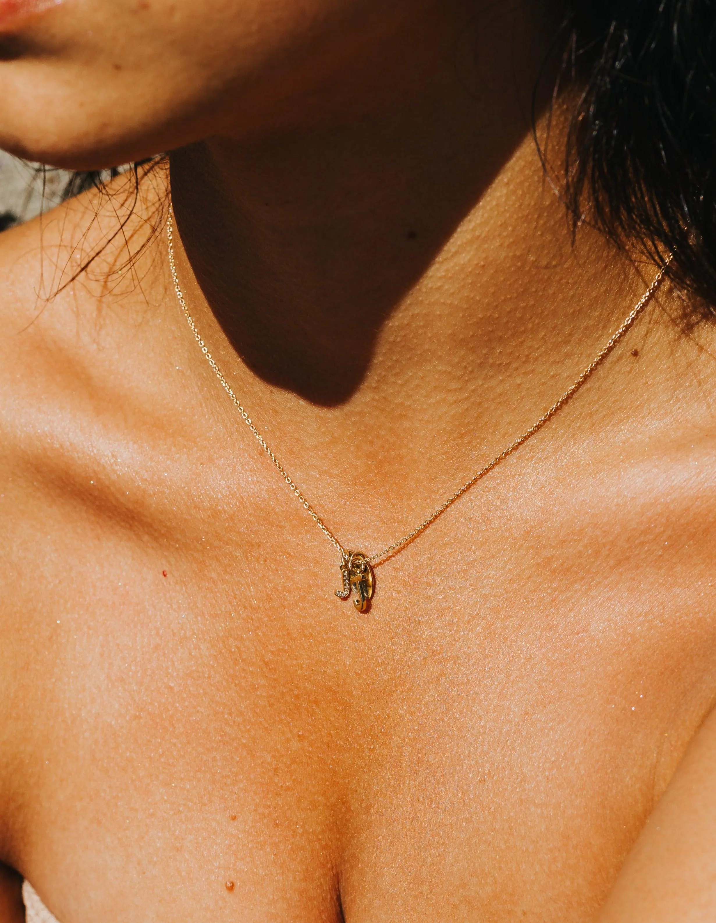 Diamond Letter Necklace