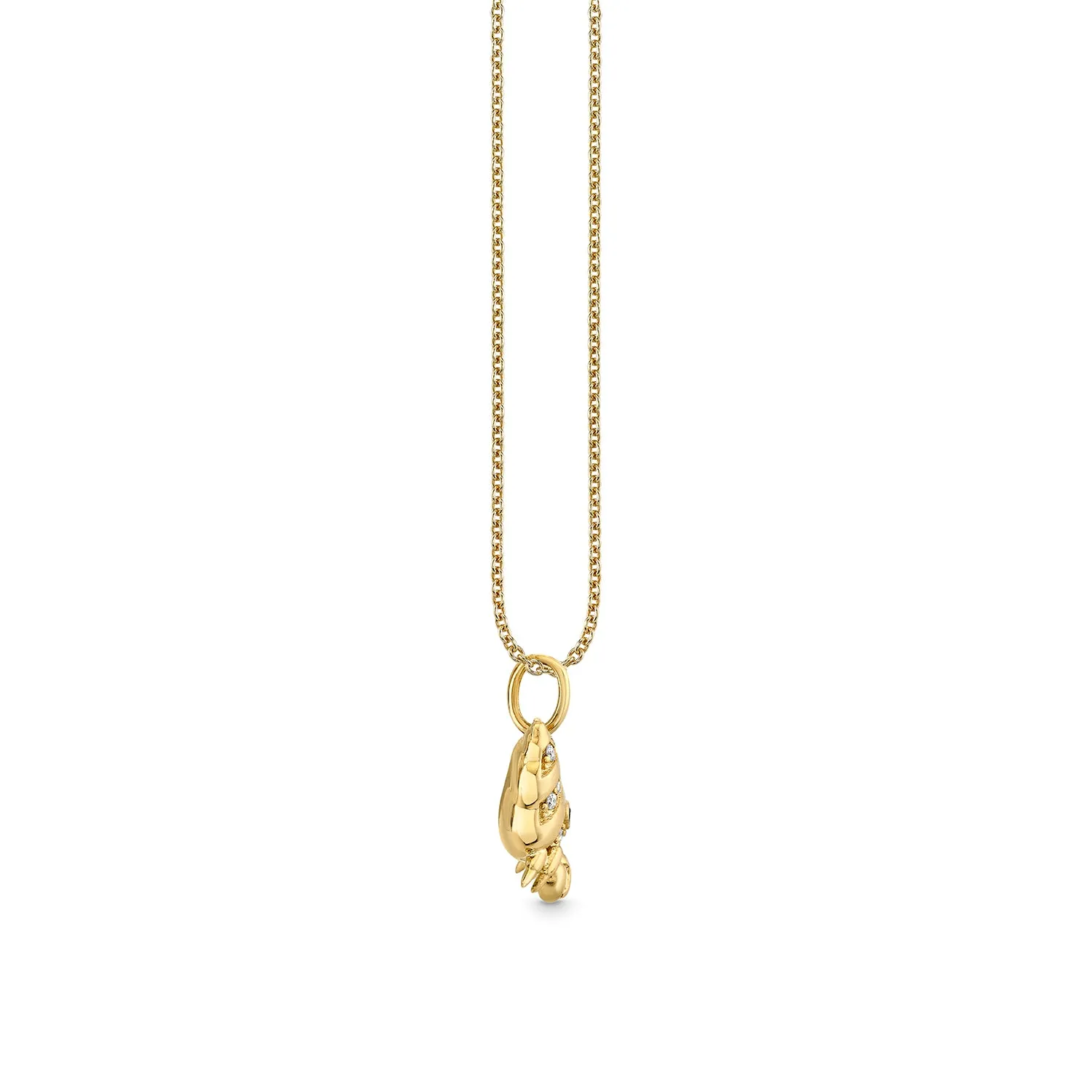 Gold & Diamond Hermit Crab Charm