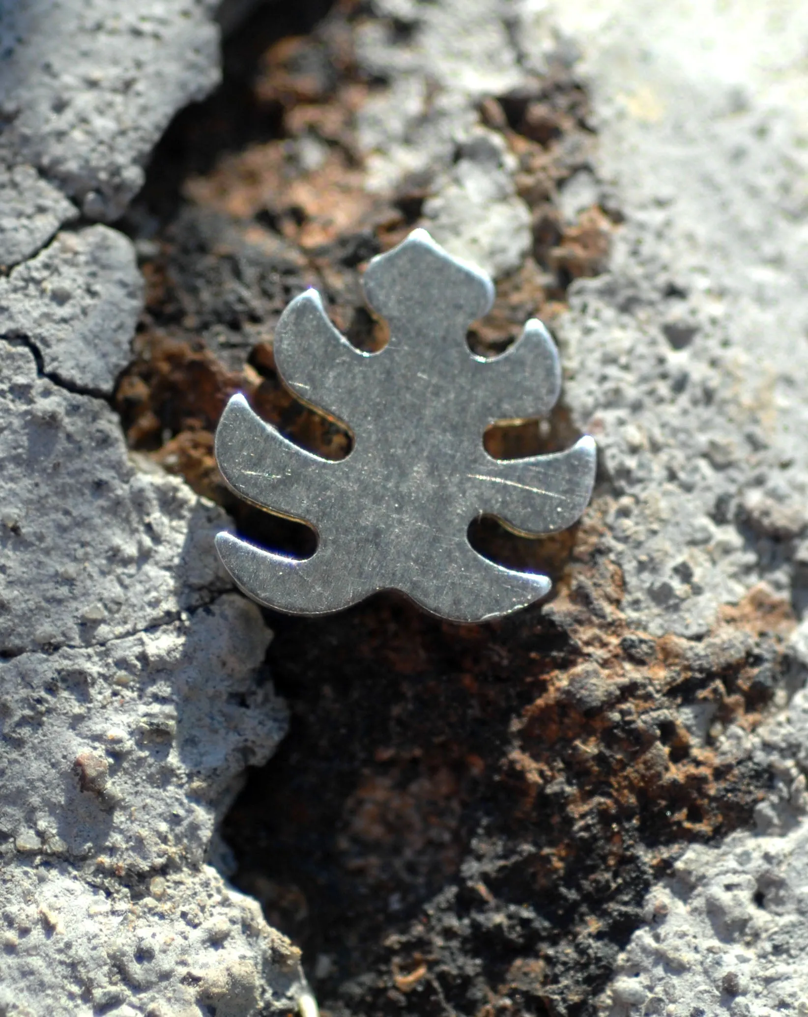 Most Tiny Metal Monstera Deliciosa Leaf Mini Blanks