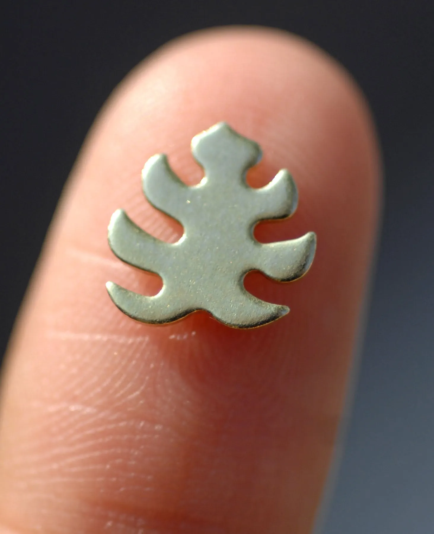 Most Tiny Metal Monstera Deliciosa Leaf Mini Blanks