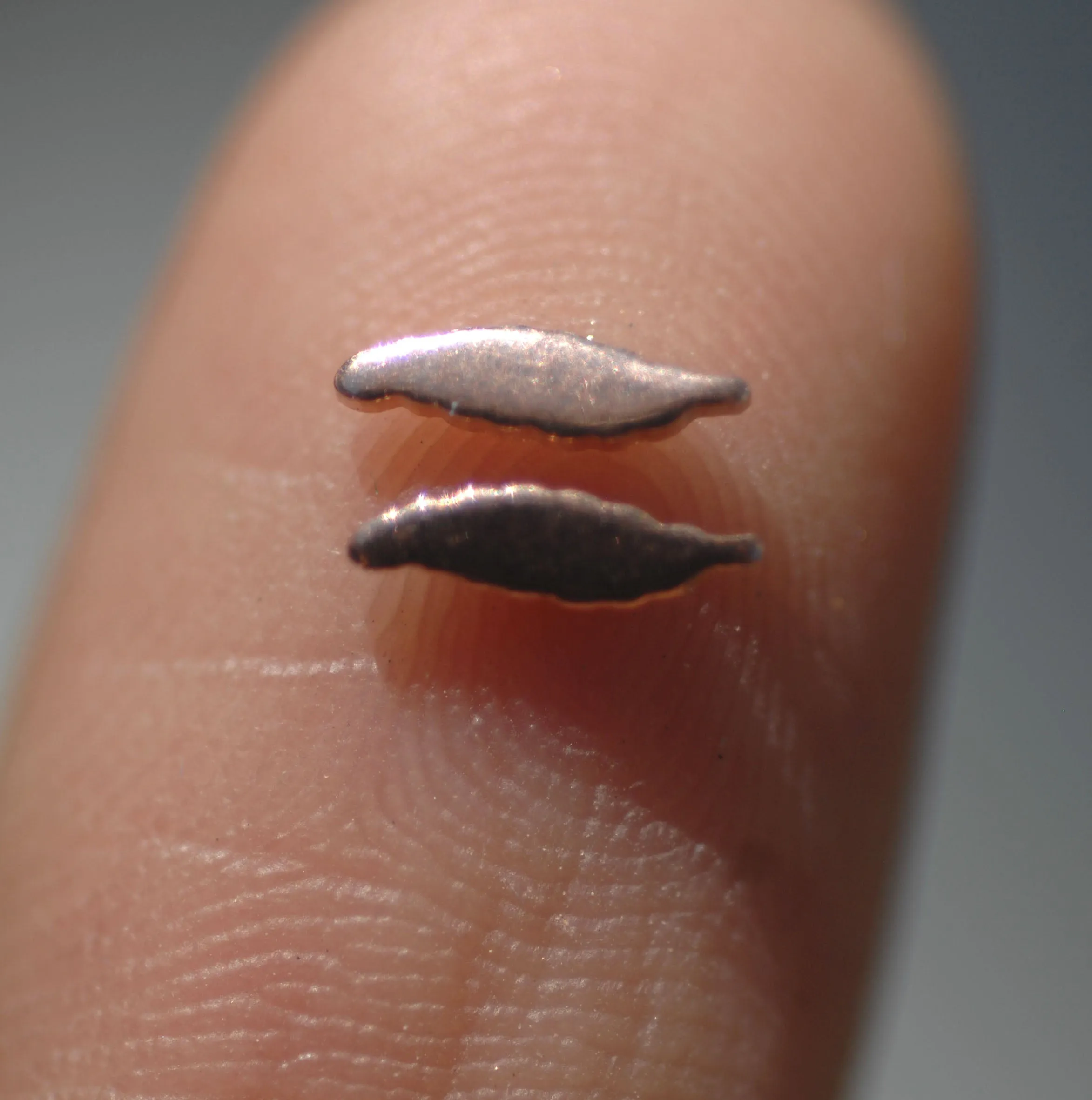 Most Tiny Metal Thin Long Leaf  Mini Blanks