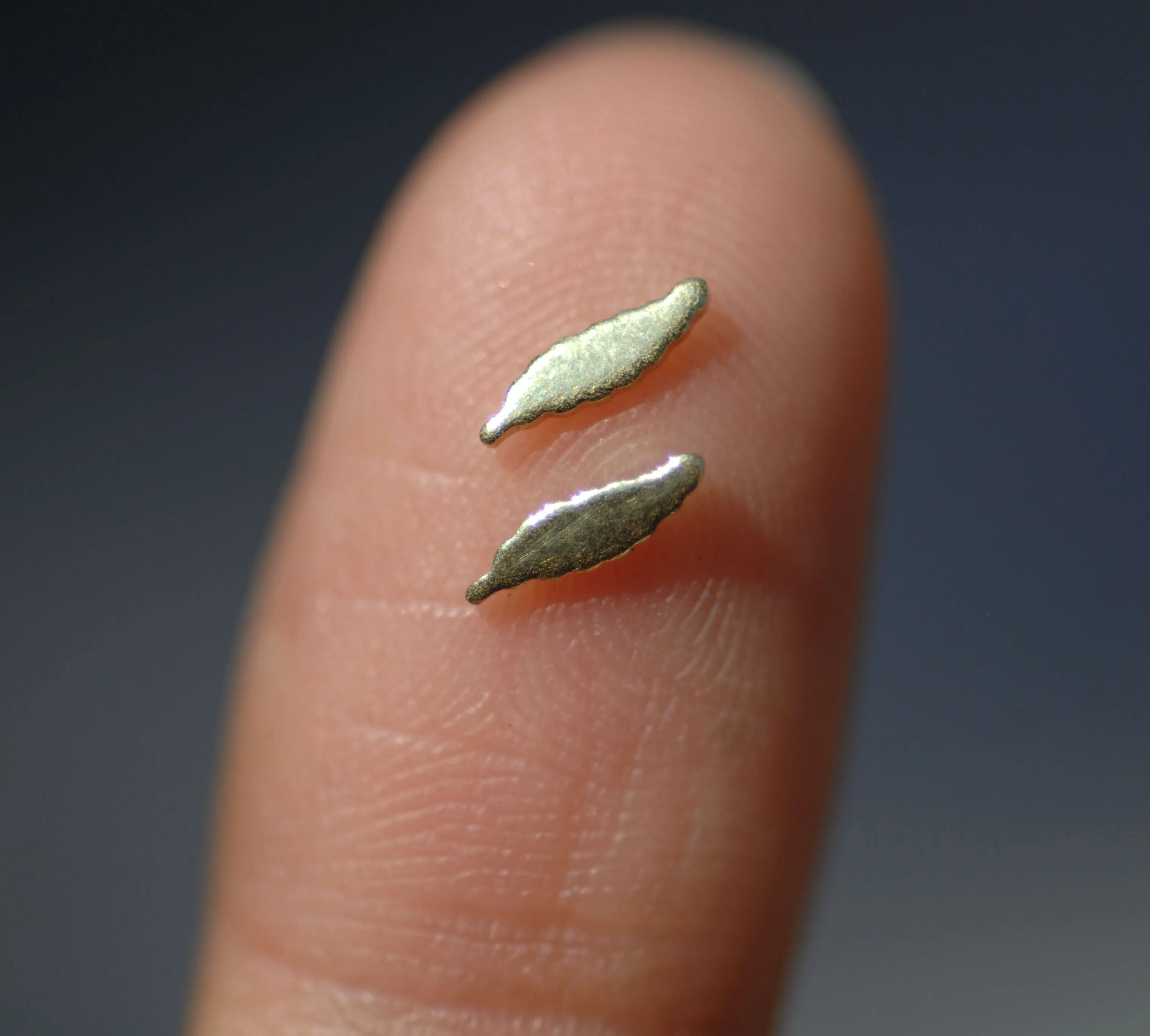 Most Tiny Metal Thin Long Leaf  Mini Blanks