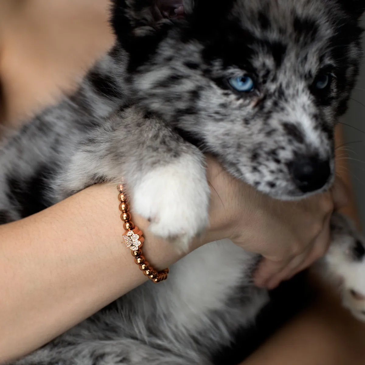 Paw | 18k Rose Gold | Crystal Pup Print