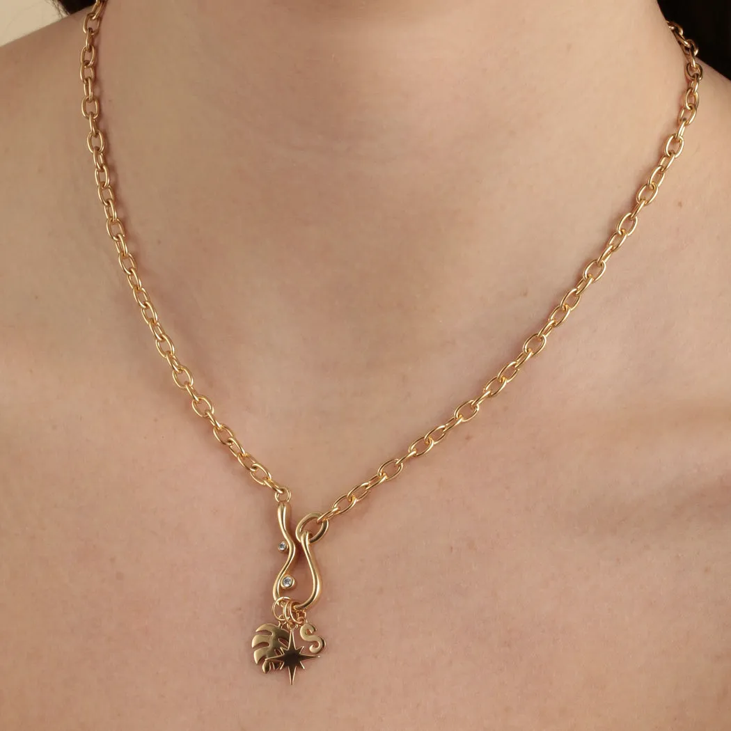 S Charm